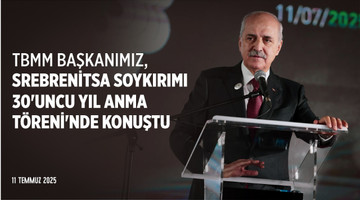 Srebrenitsa Soykırımı 30'uncu Yıl Anma Töreni, Bosna Hersek
