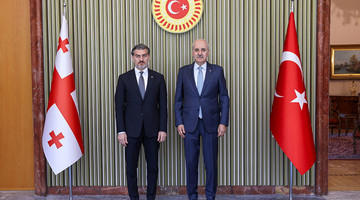TBMM BAŞKANI KURTULMUŞ, GÜRCİSTAN CUMHURBAŞKANI KAVELAŞVİLİ İLE GÖRÜŞTÜ