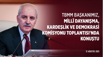 Millî Dayanışma, Kardeşlik ve Demokrasi Komisyonu Toplantısı