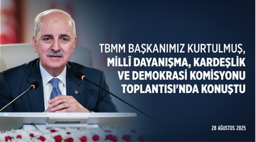 Millî Dayanışma, Kardeşlik ve Demokrasi Komisyonu Toplantısı