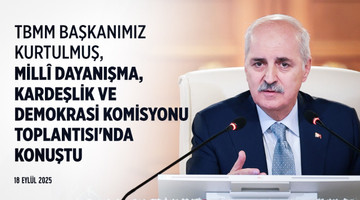 TBMM Başkanı, Milli Dayanışma, Kardeşlik ve Demokrasi komisyonu toplantısının kapanışında konuştu.
