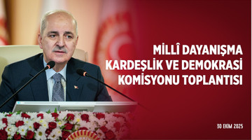 Millî Dayanışma, Kardeşlik ve Demokrasi Komisyonu Toplantısı
