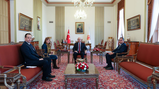 TBMM Başkanı Kurtulmuş, Bosna Hersek'in Ankara Büyükelçisi Colakovic'i kabul etti - Resim: 2