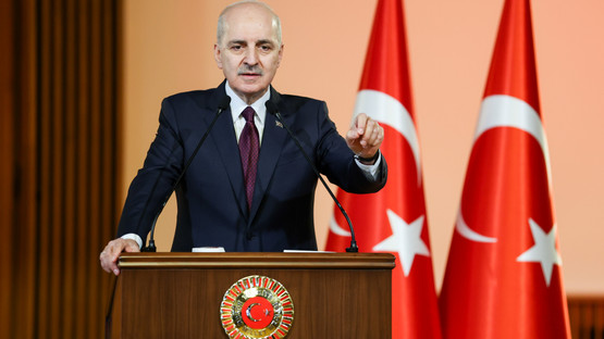 TBMM Başkanı Kurtulmuş İle Bosna Hersek Temsilciler Meclisi Başkanı Zvizdic Ortak Basın Toplantısı Düzenledi - Resim: 11