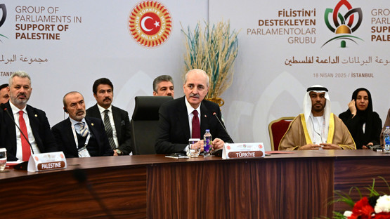 Filistin'i Destekleyen Parlamentolar Grubu Yuvarlak Masa Toplantısı Yapıldı - Resim: 4