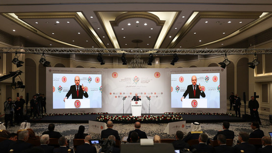 TBMM Başkanı Kurtulmuş, İstanbul'da Filistin’i Destekleyen Parlamentolar Grubu Toplantısında Konuştu - Resim: 6