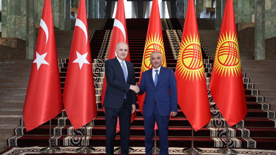 TBMM Başkanı Kurtulmuş, Kırgızistan Parlamento Başkanı Uulu ile görüştü - Resim: 8