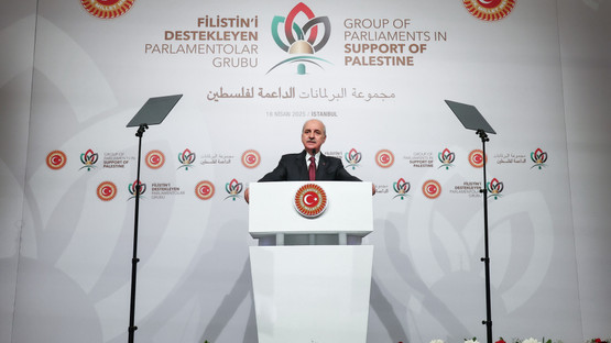 TBMM Başkanı Kurtulmuş, İstanbul'da Filistin’i Destekleyen Parlamentolar Grubu Toplantısında Konuştu - Resim: 11
