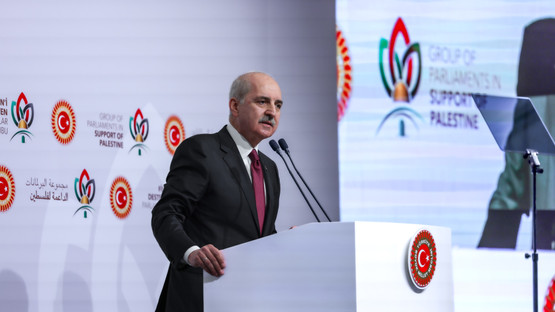 TBMM Başkanı Kurtulmuş, İstanbul'da Filistin’i Destekleyen Parlamentolar Grubu Toplantısında Konuştu - Resim: 14