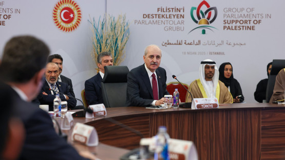 Filistin'i Destekleyen Parlamentolar Grubu Yuvarlak Masa Toplantısı Yapıldı - Resim: 21