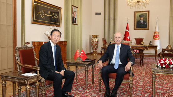 TBMM Başkanı Kurtulmuş, Çin Ulusal Halk Kongresi Daimi Komitesi Başkan Yardımcısı Şiao'yu Kabul Etti - Resim: 2