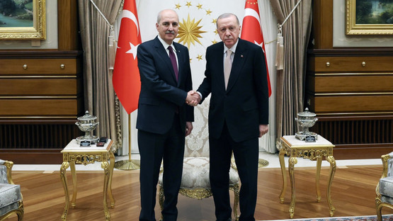 CUMHURBAŞKANI ERDOĞAN, TBMM BAŞKANI KURTULMUŞ'U KABUL ETTİ - Resim: 2