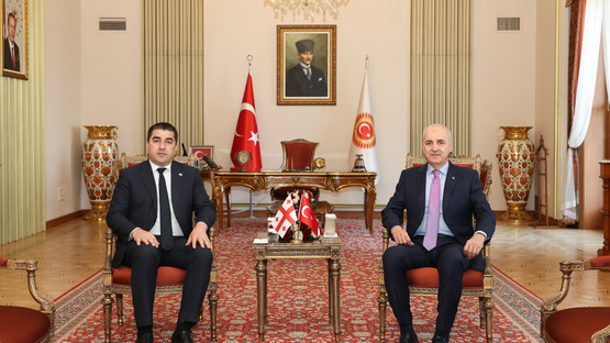 TBMM Başkanı Kurtulmuş, Gürcistan Parlamentosu Başkanı Papuashvili İle Ortak Basın Toplantısı Düzenledi - Resim: 3