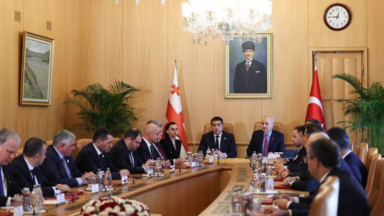 TBMM Başkanı Kurtulmuş, Gürcistan Parlamentosu Başkanı Papuashvili İle Ortak Basın Toplantısı Düzenledi - Resim: 5