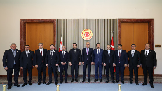 TBMM Başkanı Kurtulmuş, Gürcistan Parlamentosu Başkanı Papuashvili İle Ortak Basın Toplantısı Düzenledi - Resim: 8