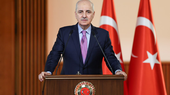 TBMM Başkanı Kurtulmuş, Gürcistan Parlamentosu Başkanı Papuashvili İle Ortak Basın Toplantısı Düzenledi - Resim: 12