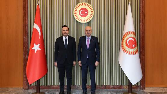 TBMM Başkanı Kurtulmuş, Ak Parti Gençlik Kolları Başkanı Yusuf İbiş'i Kabul Etti - Resim: 3