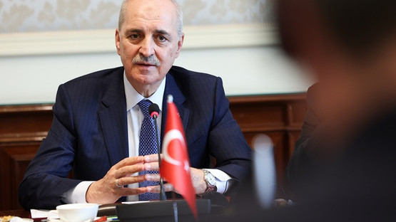 TBMM Başkanı Kurtulmuş, Belçika Senato Başkanı Vincent Blondel İle Görüştü - Resim: 8