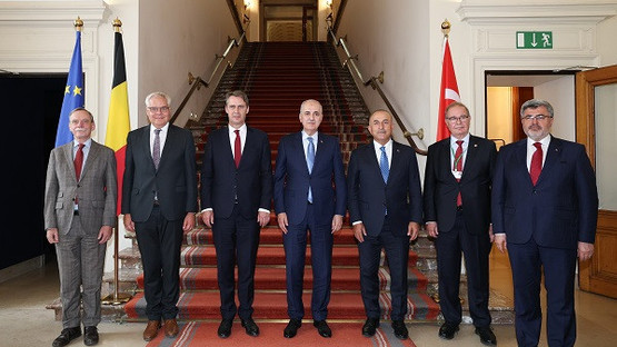 TBMM Başkanı Kurtulmuş, Belçika Senato Başkanı Vincent Blondel İle Görüştü - Resim: 9