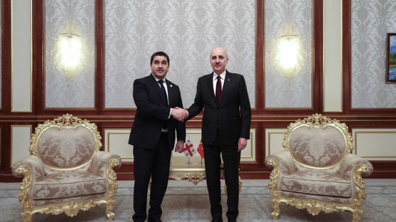 G&uuml;rcistan Meclis Başkanı Shalva Papuashvili İle G&ouml;r&uuml;şme