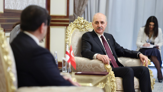 G&uuml;rcistan Meclis Başkanı Shalva Papuashvili İle G&ouml;r&uuml;şme