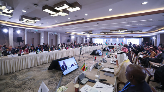 Bağlantısızlar Hareketi Parlamenter Ağı Konferansına Katılım
