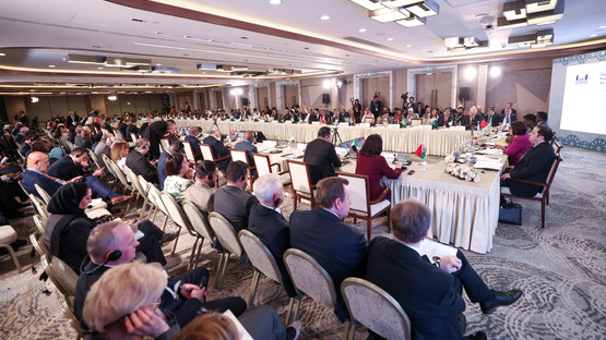 Bağlantısızlar Hareketi Parlamenter Ağı Konferansına Katılım