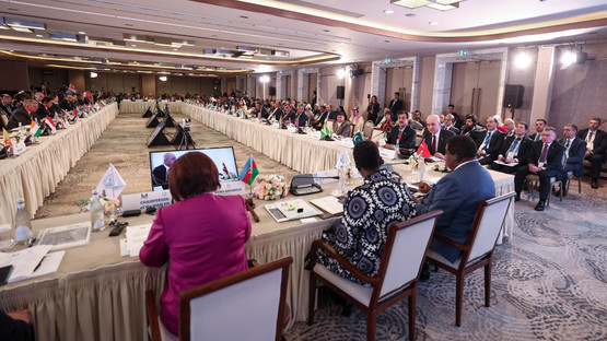 Bağlantısızlar Hareketi Parlamenter Ağı Konferansına Katılım