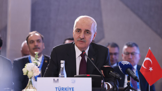 Bağlantısızlar Hareketi Parlamenter Ağı Konferansına Katılım