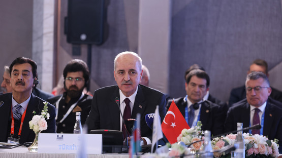 Bağlantısızlar Hareketi Parlamenter Ağı Konferansına Katılım