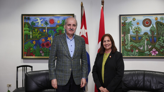 K&uuml;ba Havaalanı Karşılama