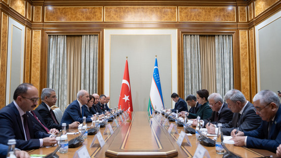 &Ouml;zbekistan Ali Meclisi Senato Başkanı Tanzila Narbayeva ile G&ouml;r&uuml;şme