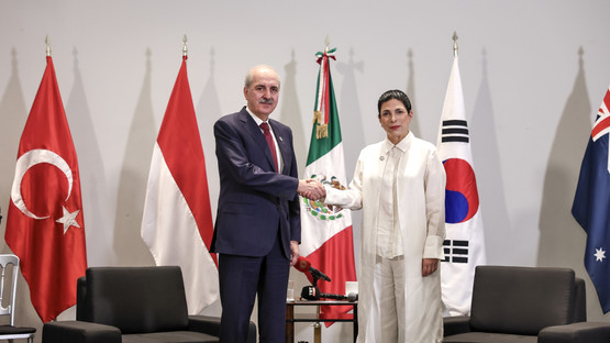 Meksika Temsilciler Meclisi Başkanı Marcela Guerra Castillo ile G&ouml;r&uuml;şme