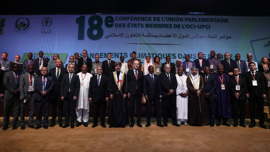 ISIPAB 18. Konferansı Genel Kurulu'na Hitap&nbsp;