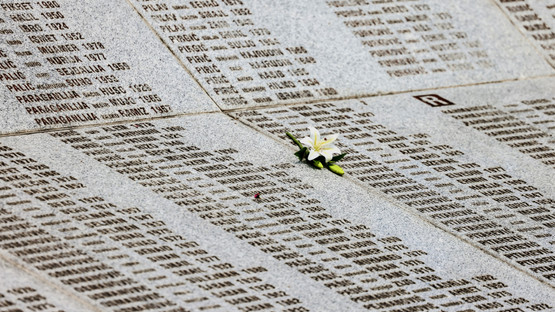 TBMM Başkanı Kurtulmuş, Srebrenitsa Soykırımı'nın 7 Kurbanının Defin Törenine Katıldı - Resim: 9