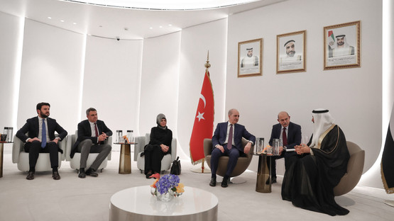 BAE Abu Dabi Havaalanı Karşılama