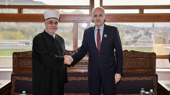 Bosna-Hersek İslam Birliği Reis-ul Uleması H&uuml;seyin Efendi Kavazovi&ccedil; ile G&ouml;r&uuml;şme