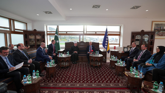 Bosna-Hersek İslam Birliği Reis-ul Uleması H&uuml;seyin Efendi Kavazovi&ccedil; ile G&ouml;r&uuml;şme