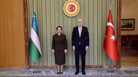 &Ouml;zbekistan Ali Meclisi Senato Başkanı Tanzila Narbayeva'yı Karşılama