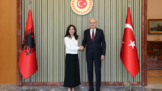 Arnavutluk Meclis Başkanı Elisa Spiropali'yi Karşılama