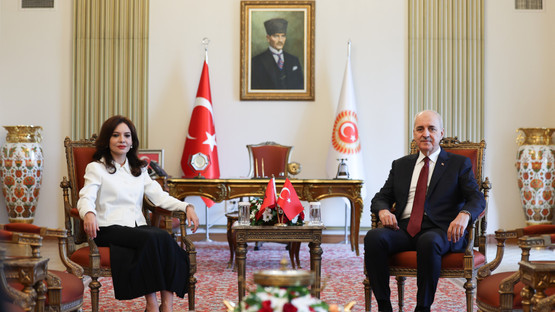 Arnavutluk Meclis Başkanı Elisa Spiropali ile Başbaşa G&ouml;r&uuml;şme