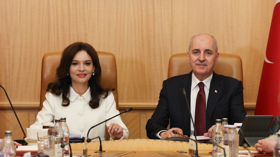 Arnavutluk Meclis Başkanı Elisa Spiropali ve Beraberindeki Heyet ile Heyetlerarası G&ouml;r&uuml;şme