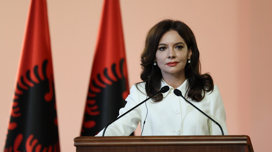 Arnavutluk Meclis Başkanı Elisa Spiropali ile Ortak Basın Toplantısı