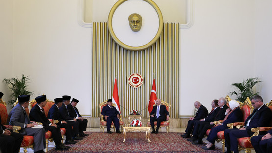 Endonezya Cumhurbaşkanı Prabowo Subianto ve Beraberindeki Heyet ile G&ouml;r&uuml;şme