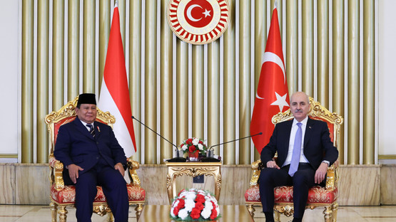 Endonezya Cumhurbaşkanı Prabowo Subianto ve Beraberindeki Heyet ile G&ouml;r&uuml;şme