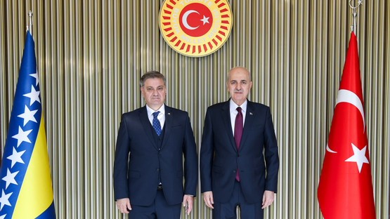 Bosna Hersek Parlamentosu Temsilciler Meclisi Başkanı Denis Zvizdic'i Karşılama