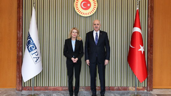 AGİT PA Başkanı Pia Kauma'yı Karşılama