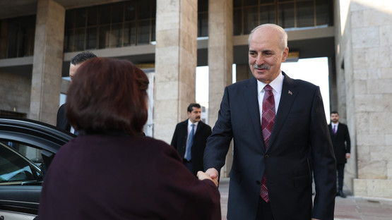 Azerbaycan Milli Meclis Başkanı Sahiba Gafarova'yı Karşılama