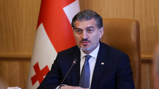 TBMM BAŞKANI KURTULMUŞ, GÜRCİSTAN CUMHURBAŞKANI KAVELAŞVİLİ İLE GÖRÜŞTÜ - Resim: 11