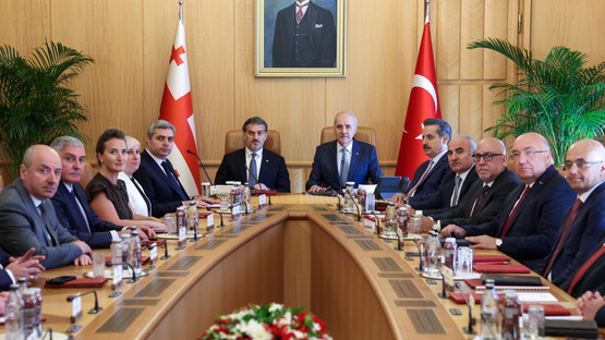 TBMM BAŞKANI KURTULMUŞ, GÜRCİSTAN CUMHURBAŞKANI KAVELAŞVİLİ İLE GÖRÜŞTÜ - Resim: 7